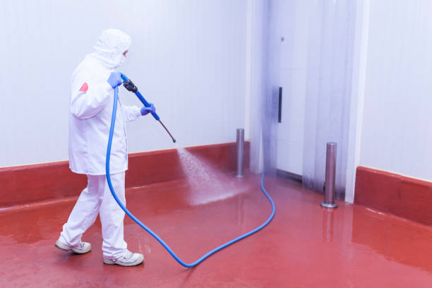 Post-Construction Pressure Washing in Amboy, WA